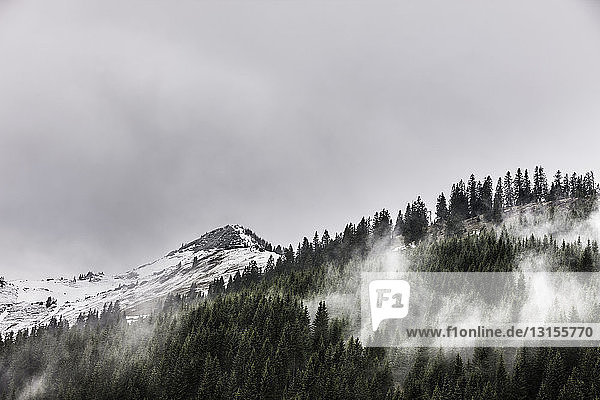 Blick auf Waldnebel und schneebedeckte Berge  Achenkirch  Österreich