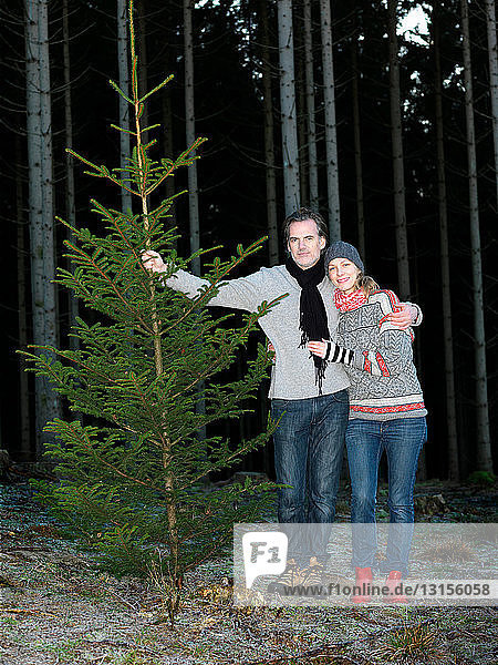 Ehepaar mit Weihnachtsbaum
