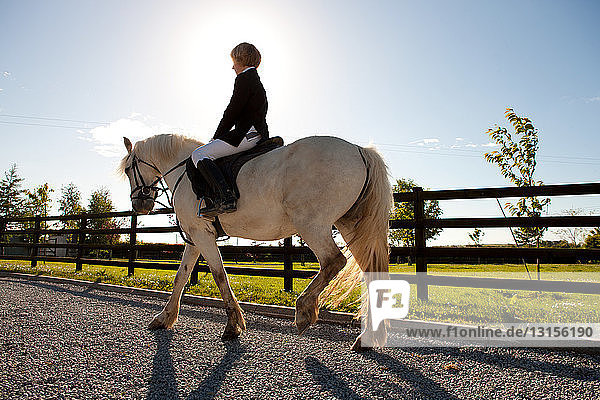 Boy horse riding in sunlight