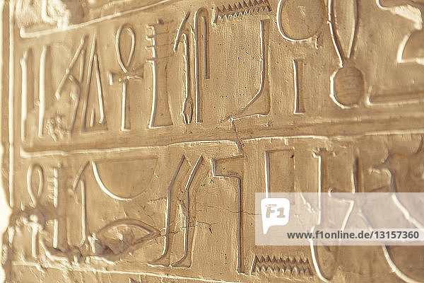 In Stein gehauene Hieroglyphen  Luxor  Ägypten