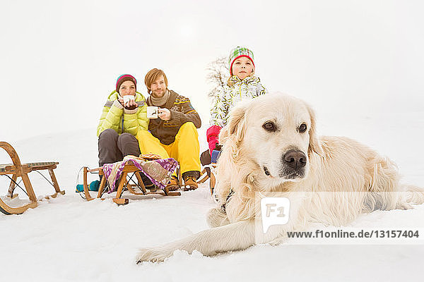 Dog lying in snow with family in background