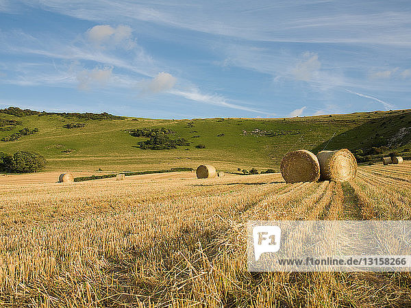 Harvested field and straw bales  Wilmington  East Sussex