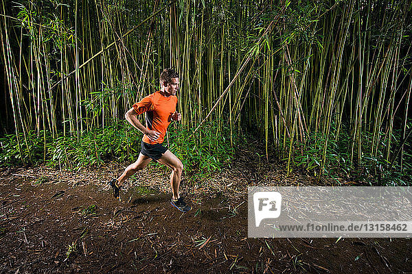 Man running on road in bamboo forest