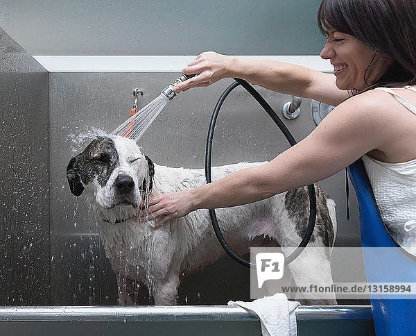 Frau badet Hund  lachend