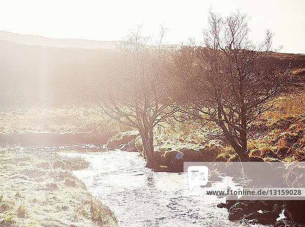 Sonnenbeschienener Fluss und kahle Bäume  nordwestliche Highlands  Schottland  UK