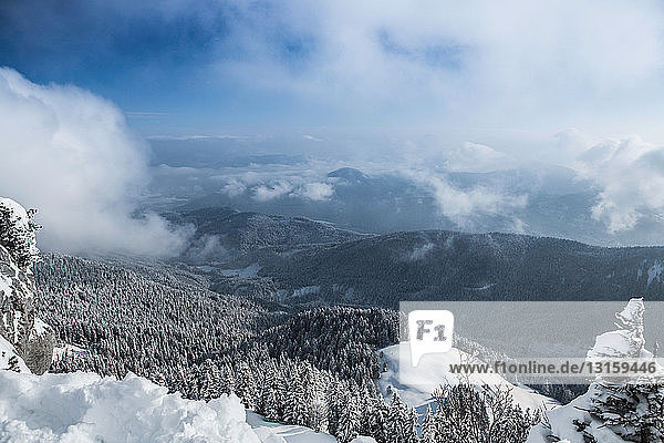 Blick von oben über schneebedeckte Hügel und Wald  Lenggries  Bayern  Deutschland