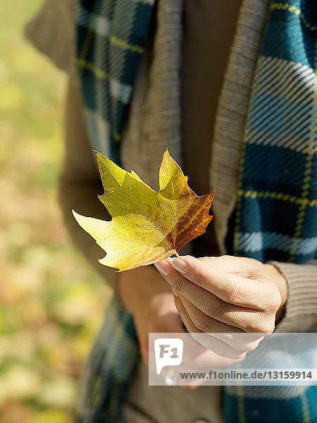 Woman's hand holding Autumn leaf