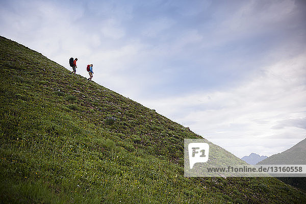 Ehepaar beim Wandern auf einem Hügel in der Nähe der Paradise Divide in den West Elk Mountains  Crested Butte  Colorado  USA