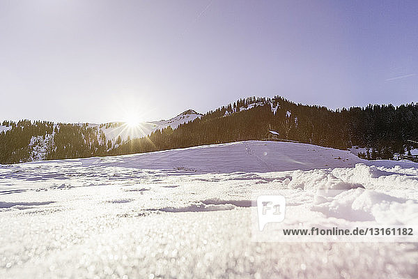 Schneebedeckte Landschaft  Achenkirch  Tirol  Österreich