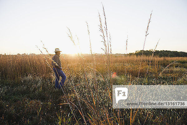 Senior male farmer walking across remote field at dusk  Plattsburg  Missouri  USA