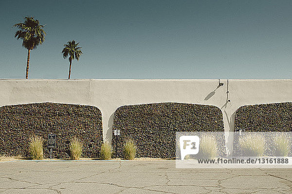 Betonmauer und Palmen  Palm Springs  Kalifornien  USA
