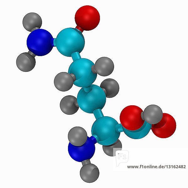 Kugel- und Stabmodell der Aminosäure Glutamin
