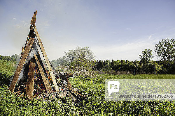 Burning wood fire in green field