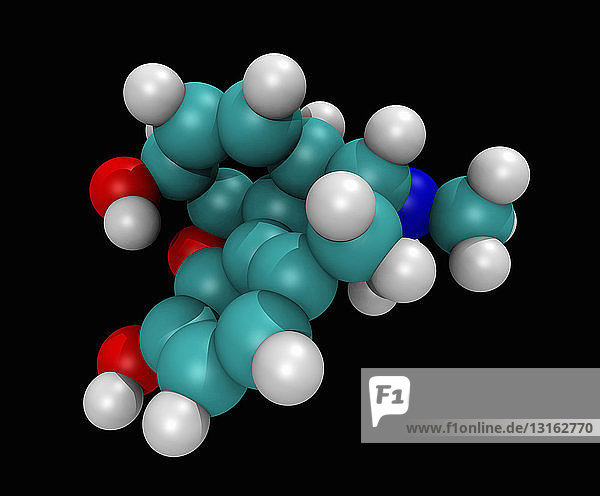 3D molecular model of morphine