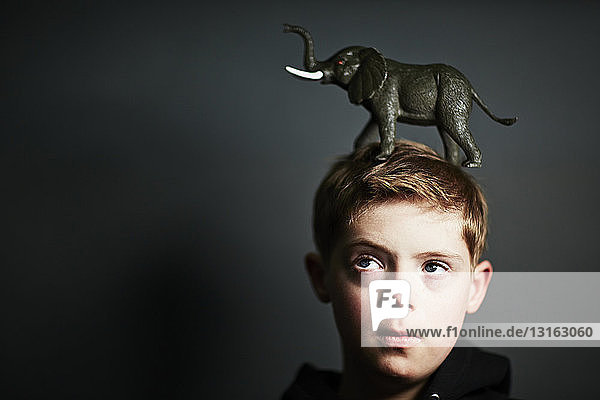 Junge mit Elefantenspielzeug auf dem Kopf