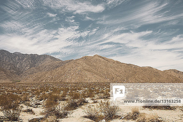 Wüstenlandschaft mit fernen Bergen  Palm Springs  Kalifornien  USA