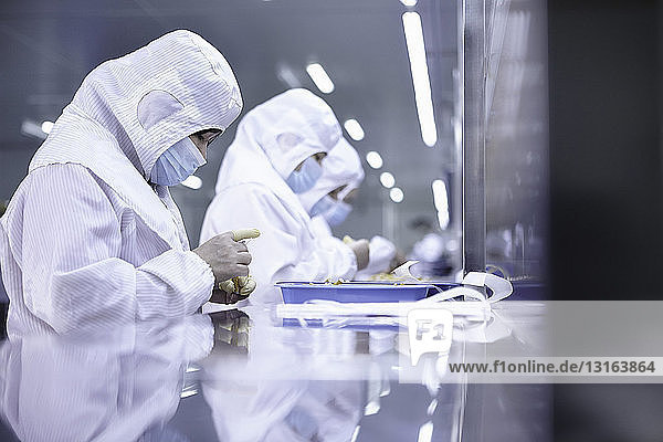Arbeiterinnen und Arbeiter testen Zigaretten in der Fabrik