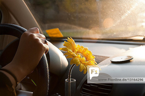 Junge Frau fährt Auto mit Blume neben dem Lenkrad