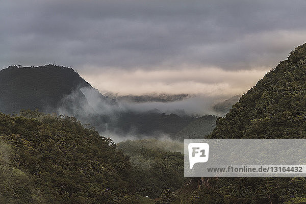 Blick auf Morgennebel und Berge  Lanquin  Alta Verapaz  Guatemala  Mittelamerika