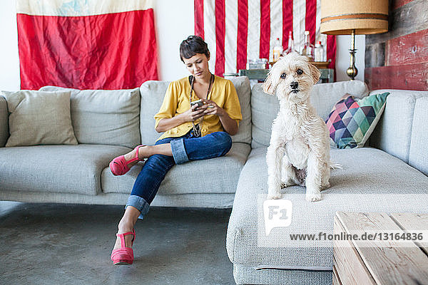 Porträt einer jungen Frau mit Smartphone und niedlichem Hund auf Wohnzimmersofa