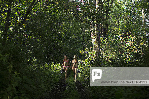 Freunde wandern auf Waldweg