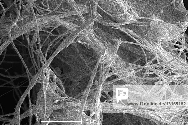Rasterelektronenmikroskopische Aufnahme von Asbest