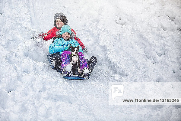 Brother and sister sledging with Boston terrier puppy on snow covered hillside smiling