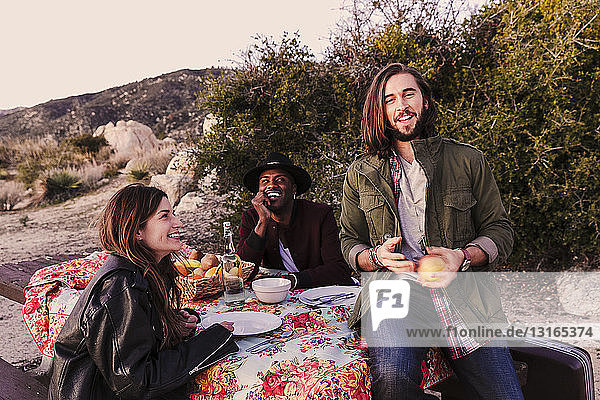Three adult friends having picnic in desert  Los Angeles  California  USA