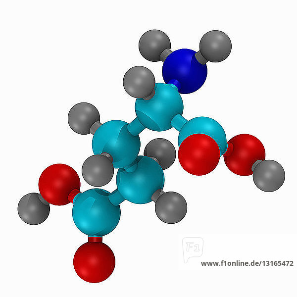 Glutamat Aminosäure