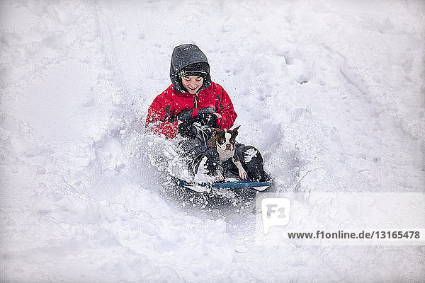 Boy sledging with Boston terrier puppy on snow covered hill smiling