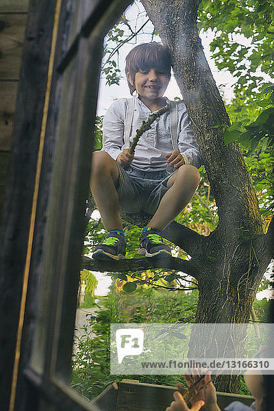 Two boys playing in tree outside hut window