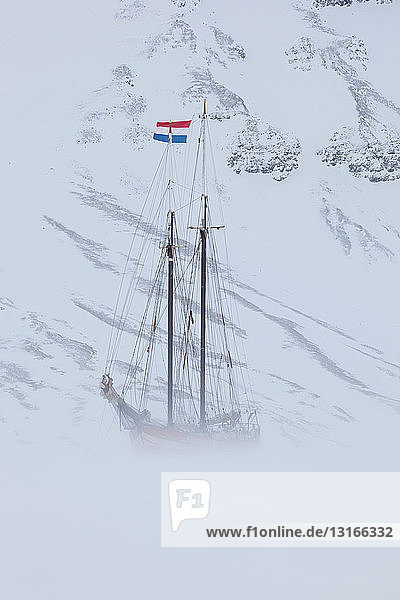 Die Noorderlicht ein holländischer Schoner. Jedes Jahr wird die Nooderlicht in Spitzbergen im Eis eingefroren und dient als ausgezeichnetes Basislager in der Wildnis perfekt zum Aufspüren von Eisbären.