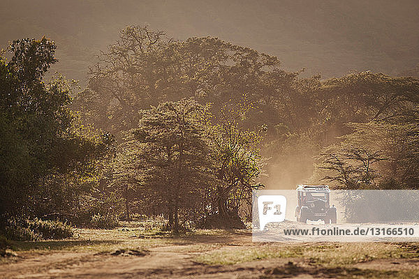 Ein altes nachgebautes Safari-Fahrzeug fährt durch Cottars Conservancy in Kenia