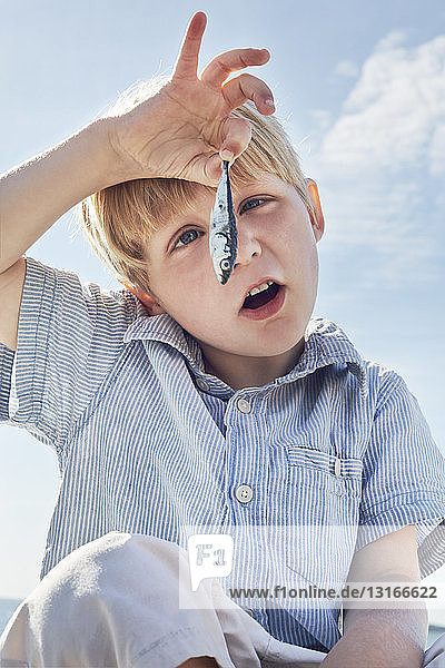 Junge starrt Fisch an  Utvalnas  Schweden