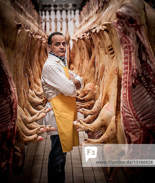 Porträt eines italienischen Metzgers umgeben von hängenden Schweinekadavern