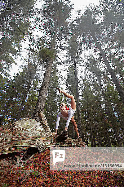 Dancer posing on log in forest