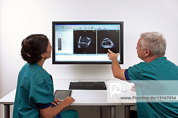 Doctors looking at scans on monitor