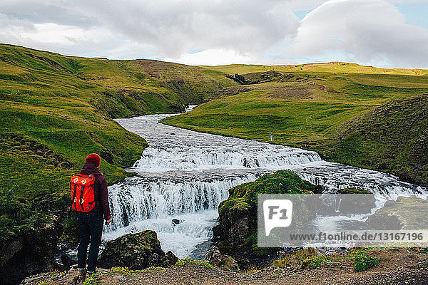 Rear view of mid adult man looking at river flowing through lush green landscape  Iceland