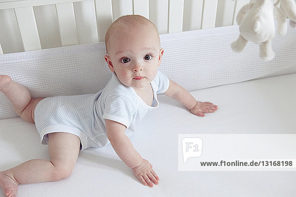 Baby boy crawling in cot