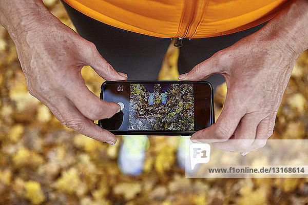 Ausschnittaufnahme einer älteren Frau  die mit ihrem Smartphone das Herbstlaub im Park fotografiert