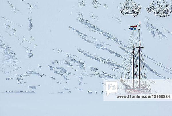 Die Noorderlicht ein holländischer Schoner. Jedes Jahr wird die Nooderlicht in Spitzbergen im Eis eingefroren und dient als ausgezeichnetes Basislager in der Wildnis perfekt zum Aufspüren von Eisbären.