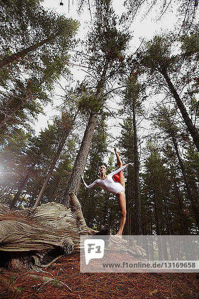 Tänzerin posiert auf Baumstamm im Wald