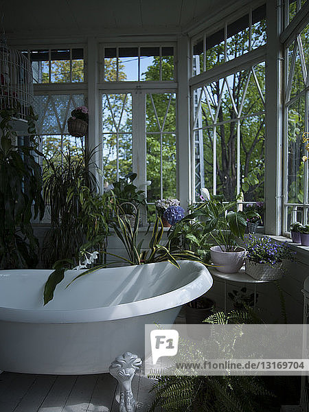 Mit Pflanzen gefüllte Badewanne im Badezimmer  Stilleben