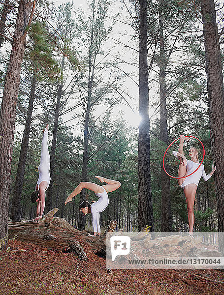 Tänzer posieren auf Baumstämmen im Wald