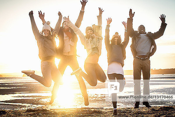 Fünf erwachsene Freunde springen am Strand in die Luft