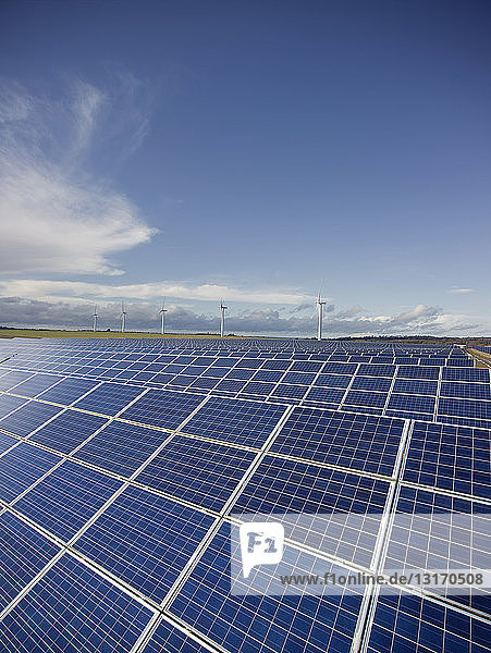 Solarfarm  Bereich Photovoltaik-Paneele