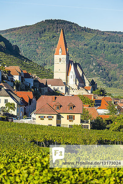 Österreich  Wachau  Pfarrkirche Mariae Himmelfahrt in Weissenkirchen in den Weinbergen an der Donau