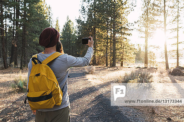 USA  Nordkalifornien  junger Mann bei einem Selbstmord in einem Wald in der Nähe des Lassen Volcanic National Park