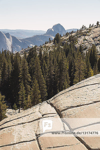 USA  Kalifornien  Yosemite-Nationalpark  Aussichtspunkt