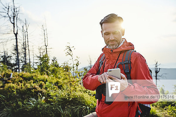 Smiling man checking his cell phone during hiking trip